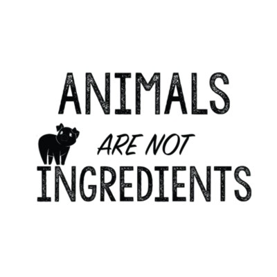 Animals are not Ingredients - Mens Base Organic Long Sleeved Tee Design