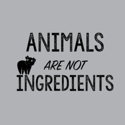Animals are not Ingredients - Womens Bevel V-Neck Tee - Womens Bevel V-Neck Tee Design