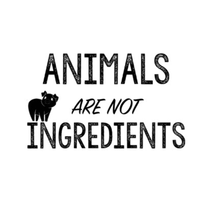 Animals are not Ingredients - Womens Bevel V-Neck Tee - Womens Mali Tee Design
