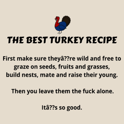 The Best Turkey Recipe 2 Design