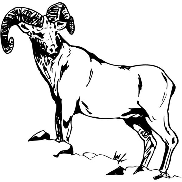 RAM013 Thumbnail