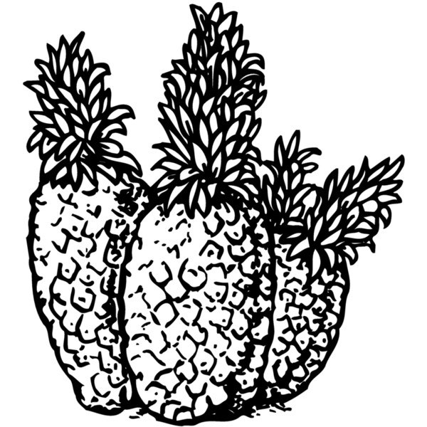 FRUIT039 Thumbnail