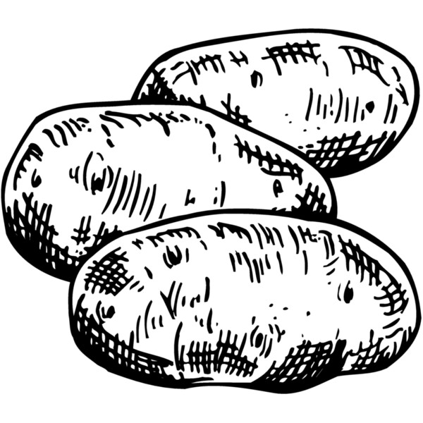 VEG013 Thumbnail