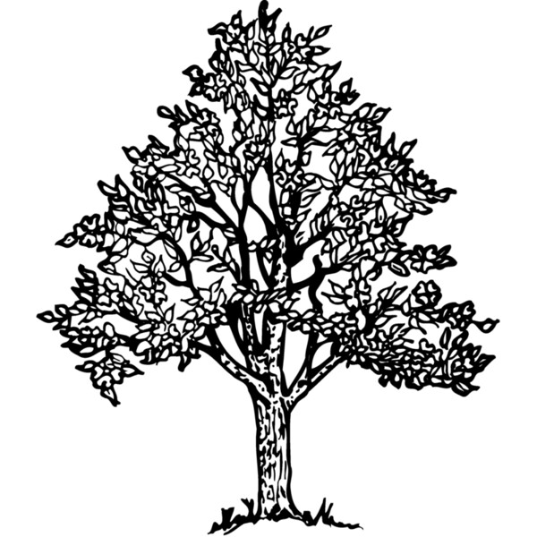 TREE0004 Thumbnail