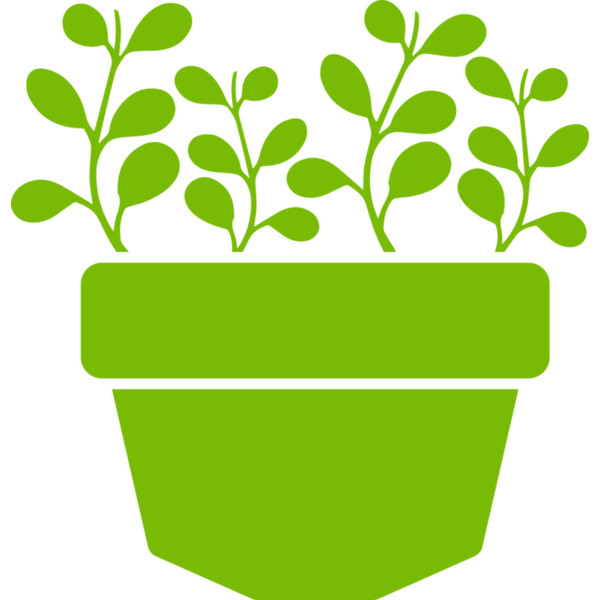 Succulent Plant 3 Thumbnail