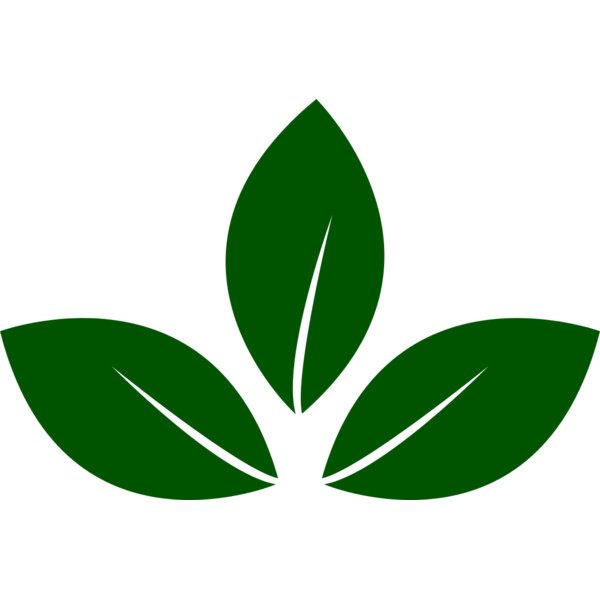 Leaves 5 Thumbnail