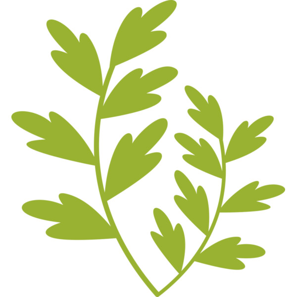 Leaves 11 Thumbnail